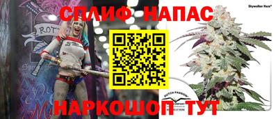 кокс Будённовск